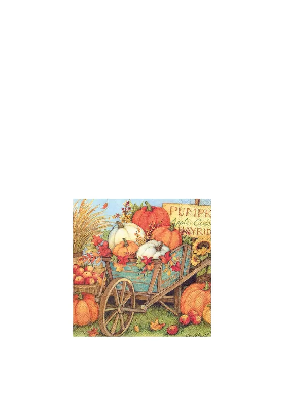 IHR Pumpkin Crop Napkins, MultiCroptopoutfit